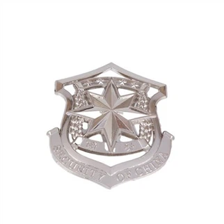 Police Pin Badge