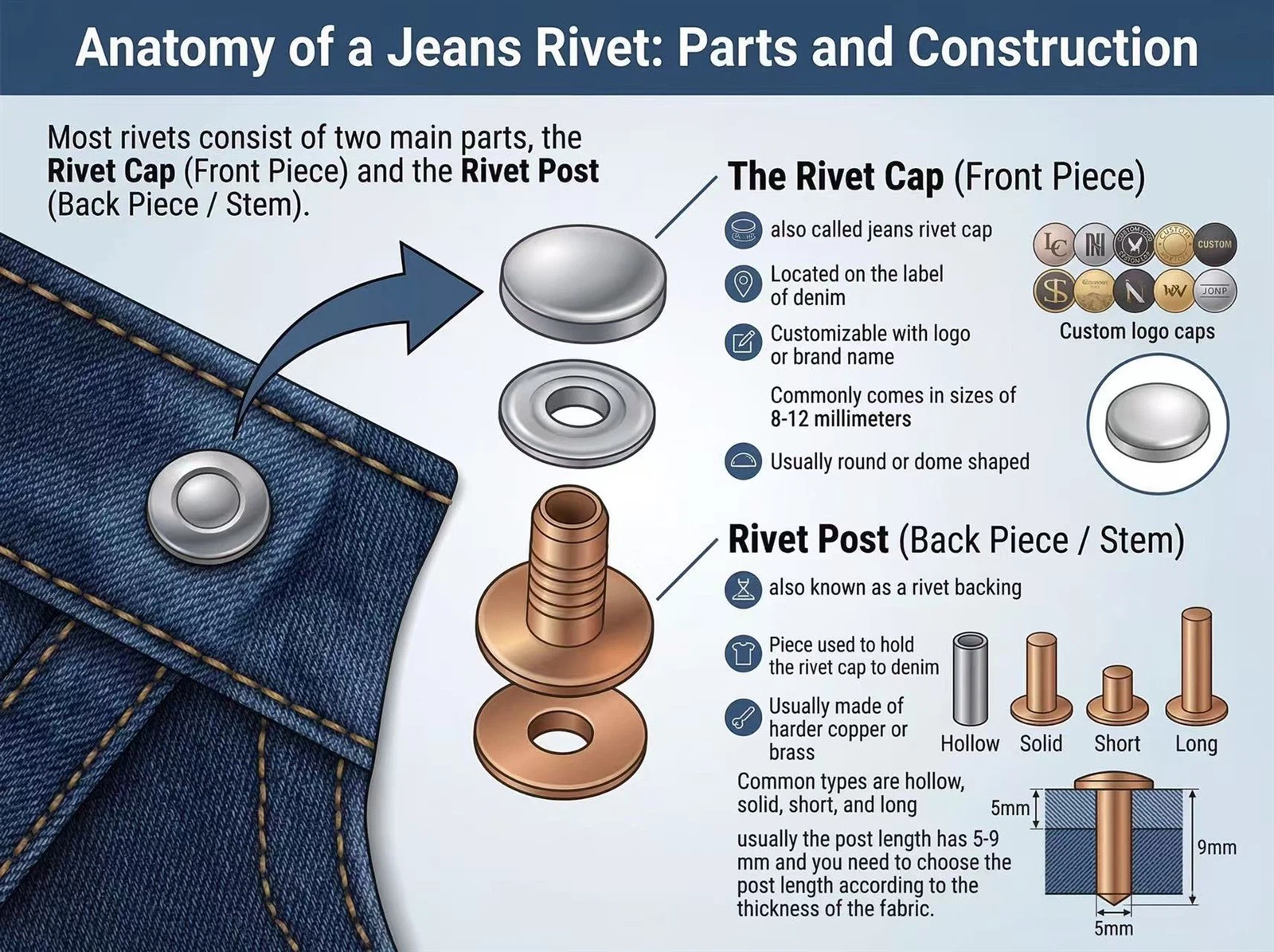 jean rivet anatomy jean rivet anatomy